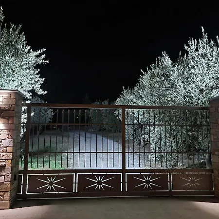 Viewing Garden *