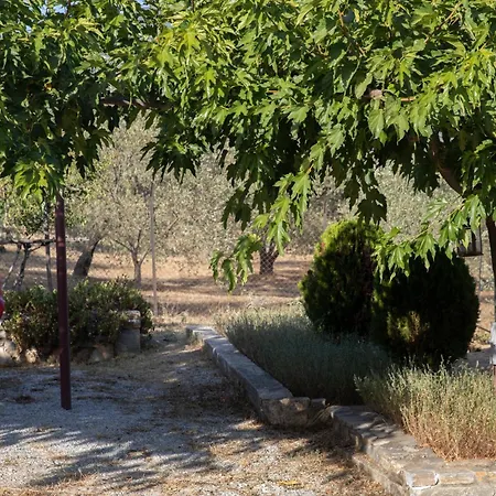 Viewing Garden Lägenhet